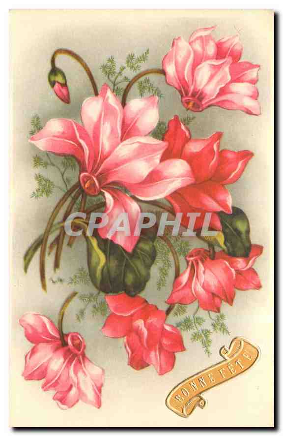 CPA fleurs