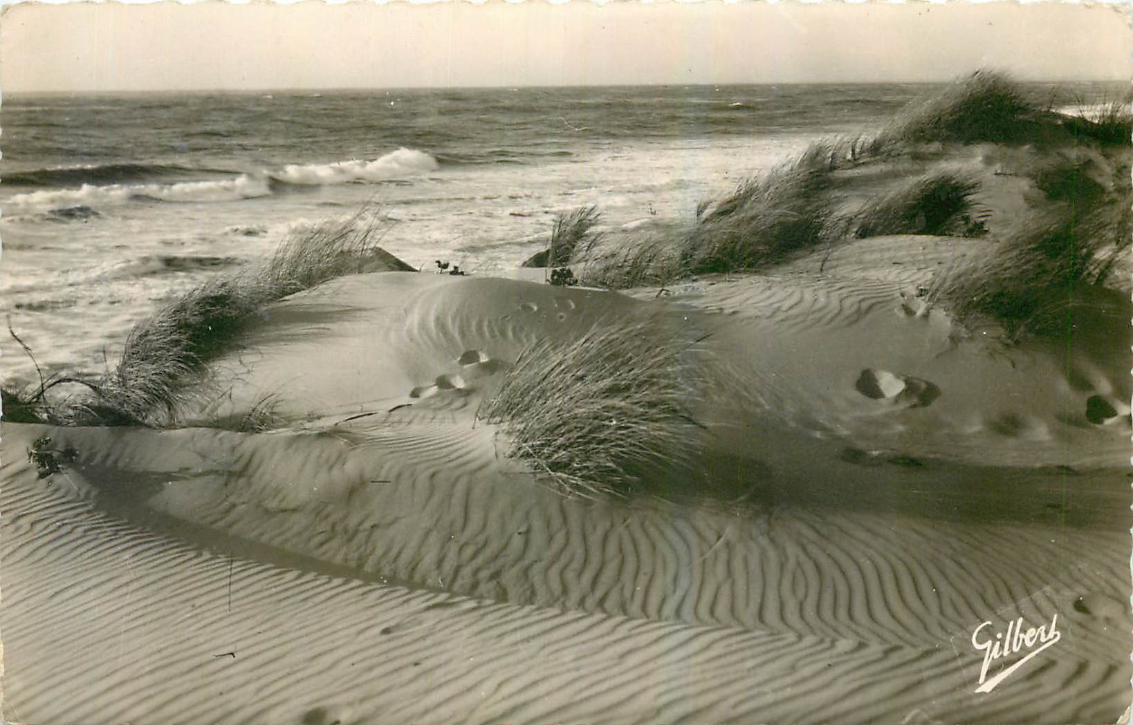 CPA Soulac sur mer Les Dunes et l'Ocean 