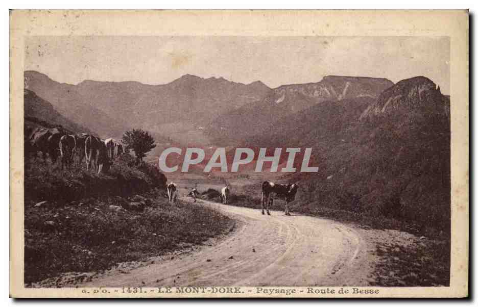Le Mont Dore CPA Paysage Route de Besse