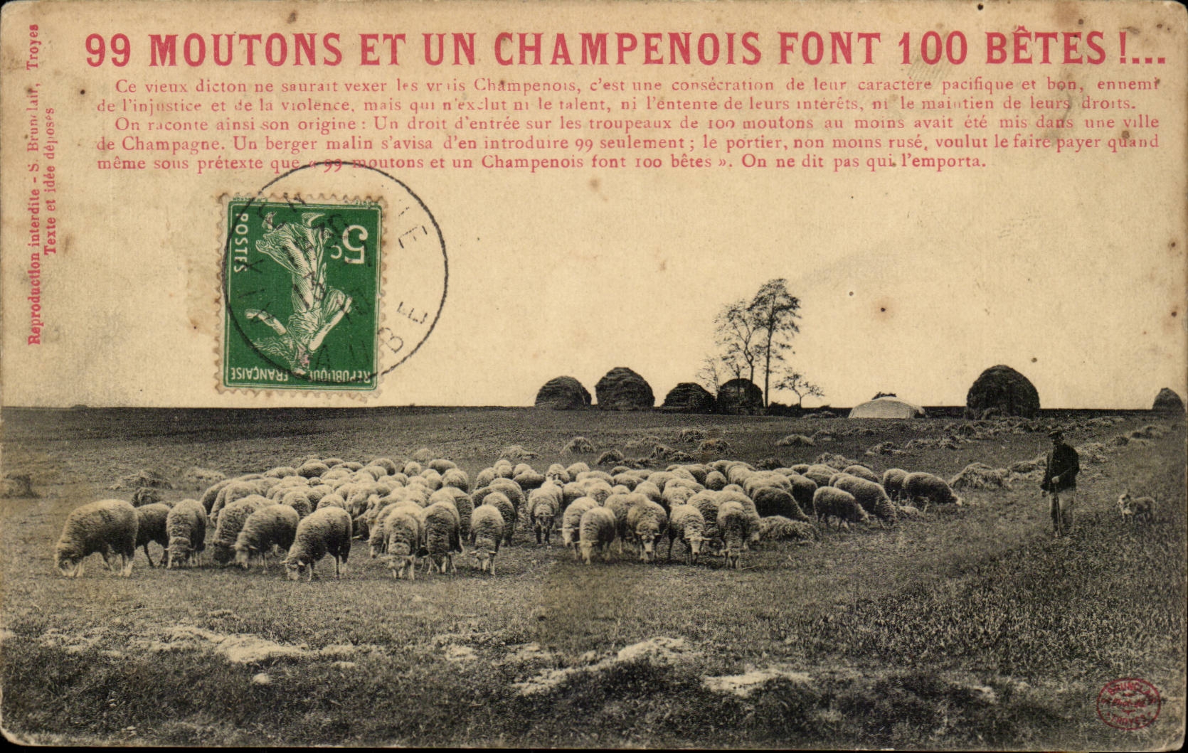 99 moutons et un campenois font 100 betes