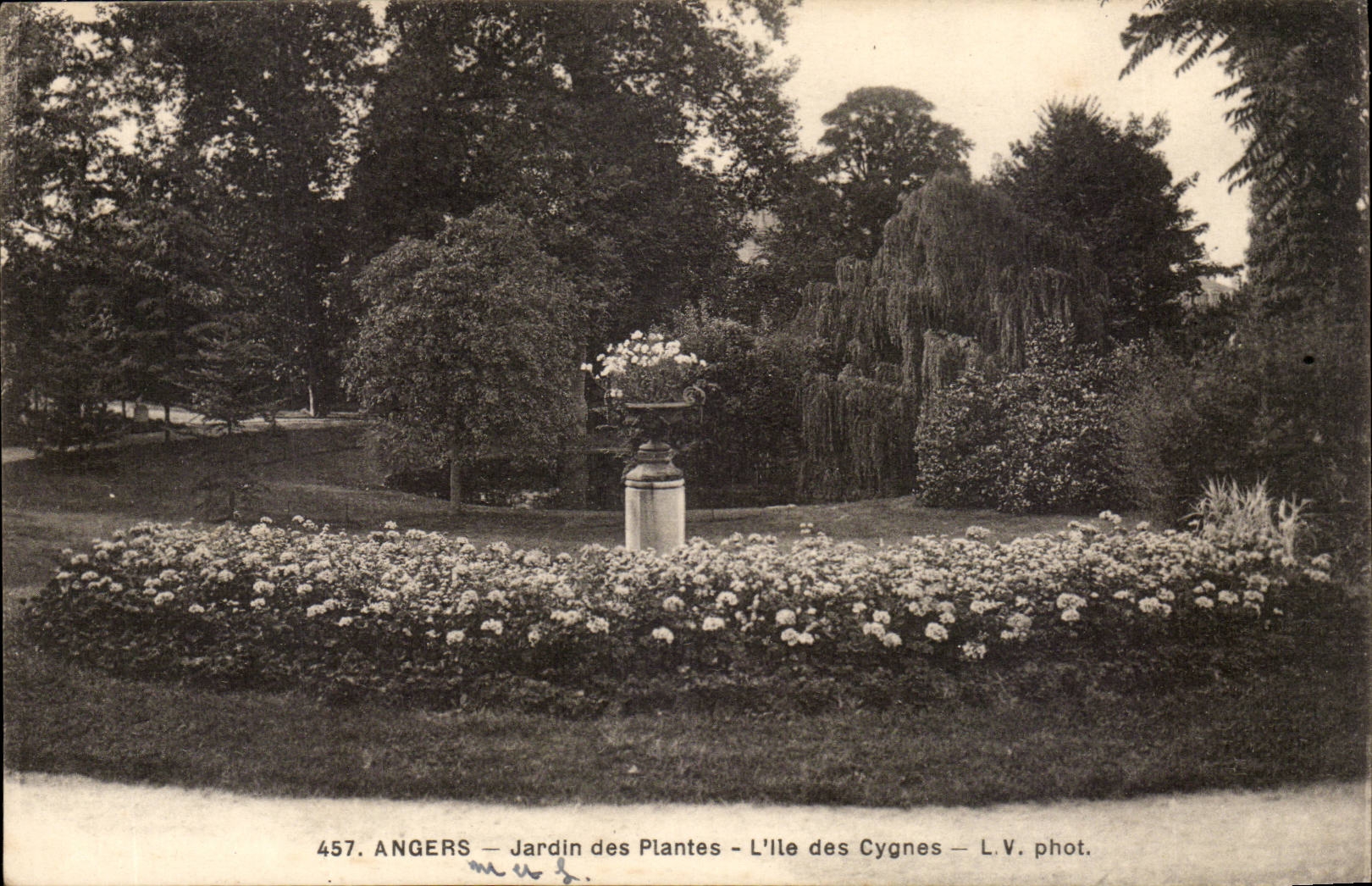 Angers CPA Jardin des plantes L'ile des cygnes