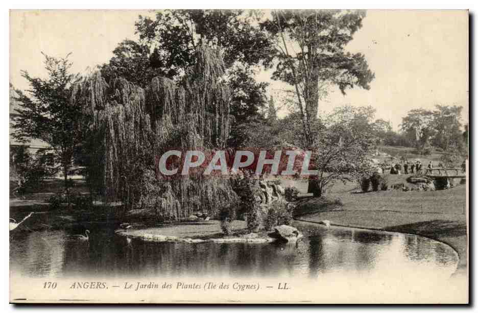 Angers CPA Le Jardin des plantes L'ile des cygnes