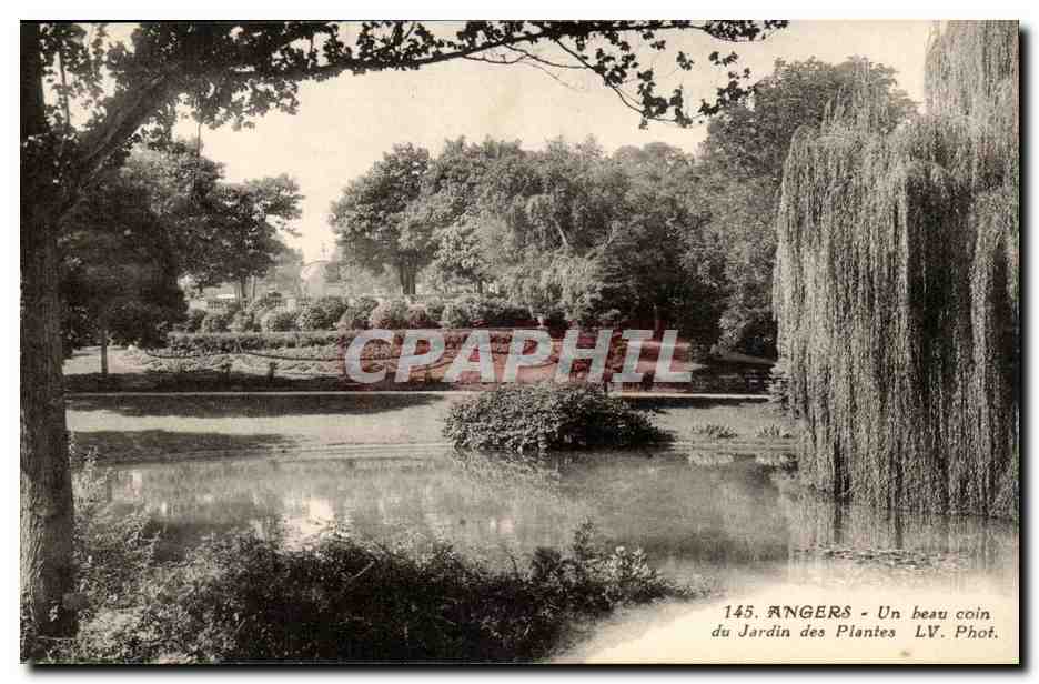 Angers CPA un beau coin du Jardin des plantes