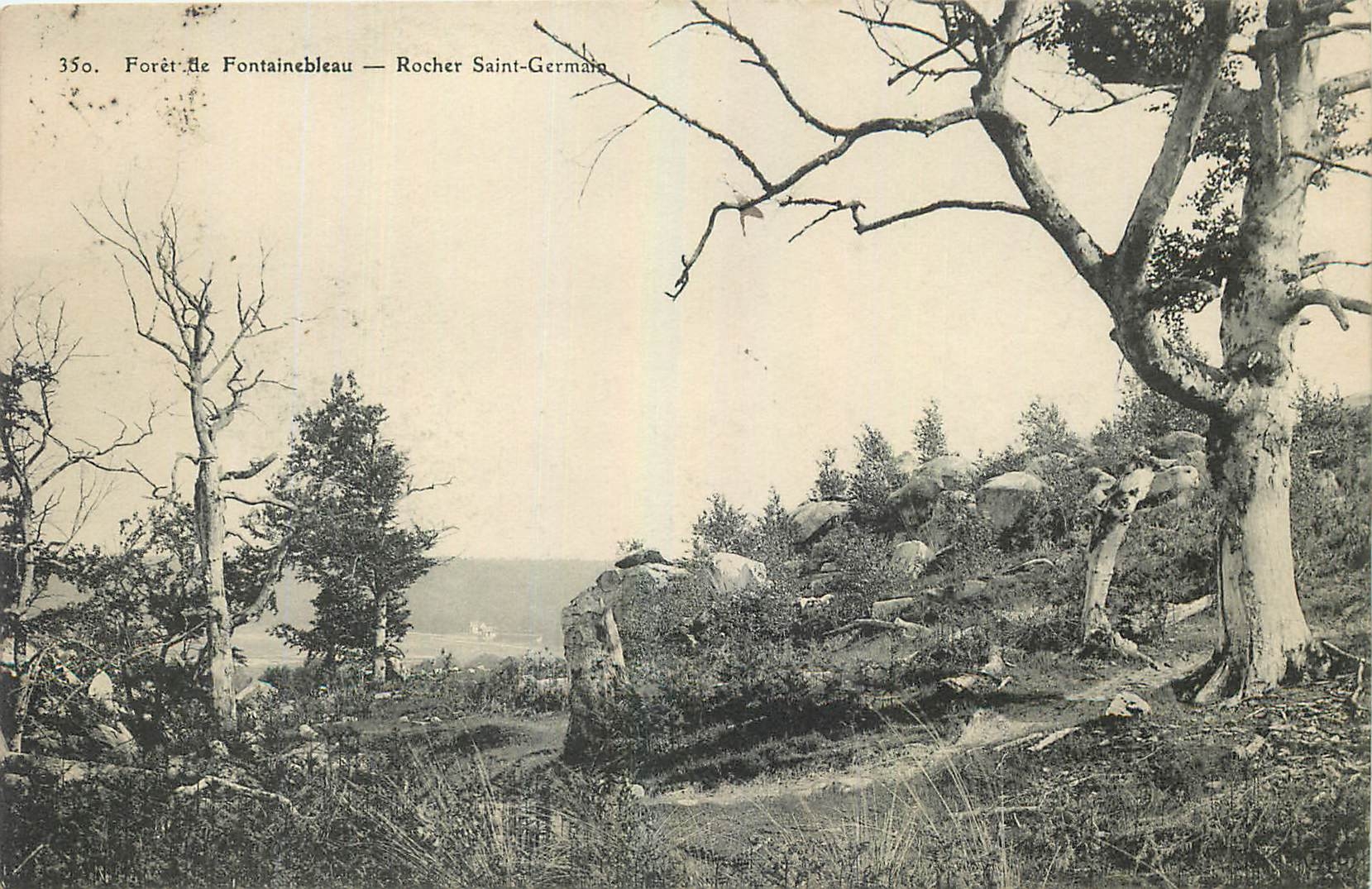 Wald von Fontainebleau — Felsen Saint-Germain — n° 350