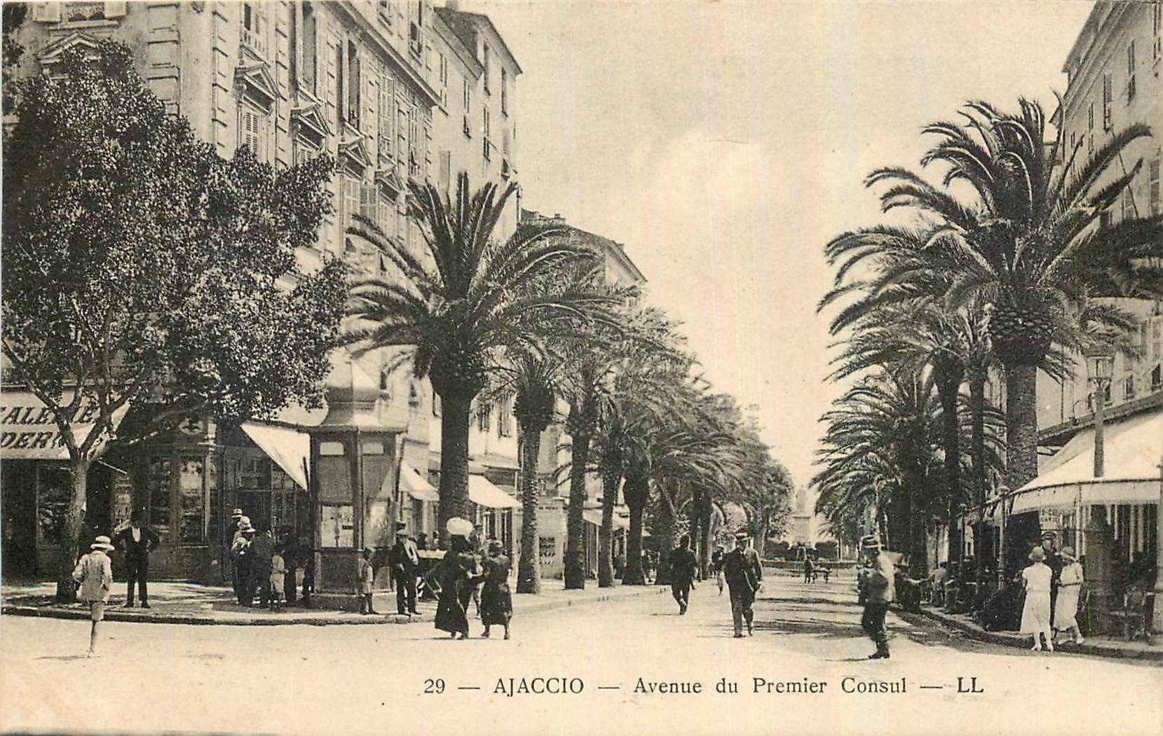 CPA Ajaccio Avenue du Premier Consul 