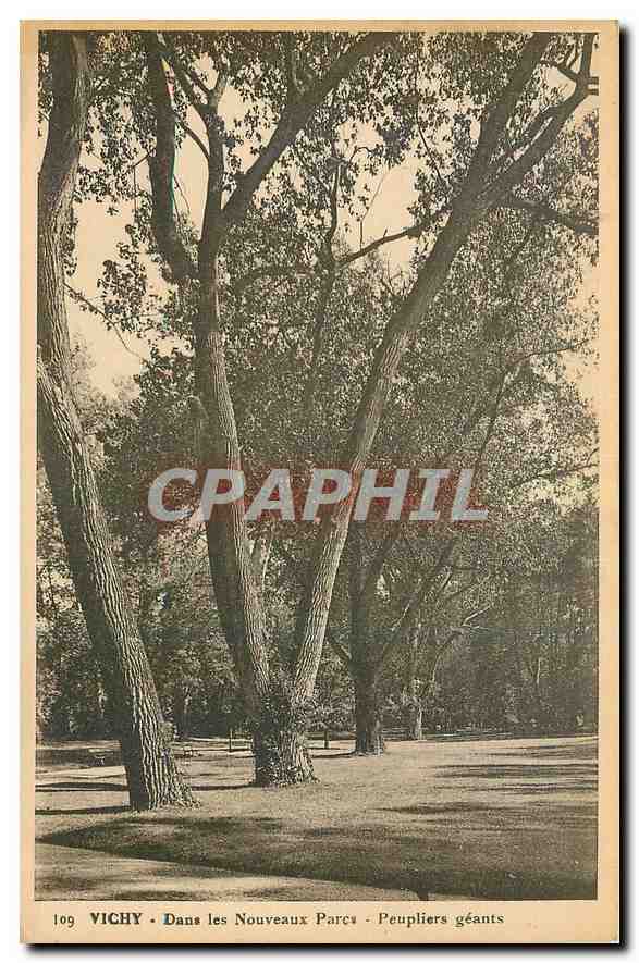 CPA Vichy Dans les Nouveaux Parc Peupliers geants 
