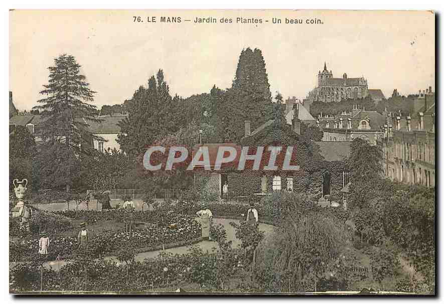 CPA Le Mans Jardin des Plantes Un beau coin 