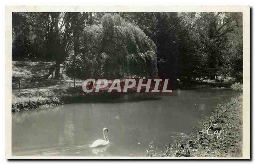 CPA Chalons sur Marne Le Jardin du Jard 