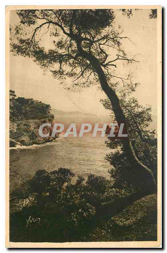 Vue sur le Cap Brun — Côte d'Azur — Toulon (Var) — éditeur La Douce France, n° 353