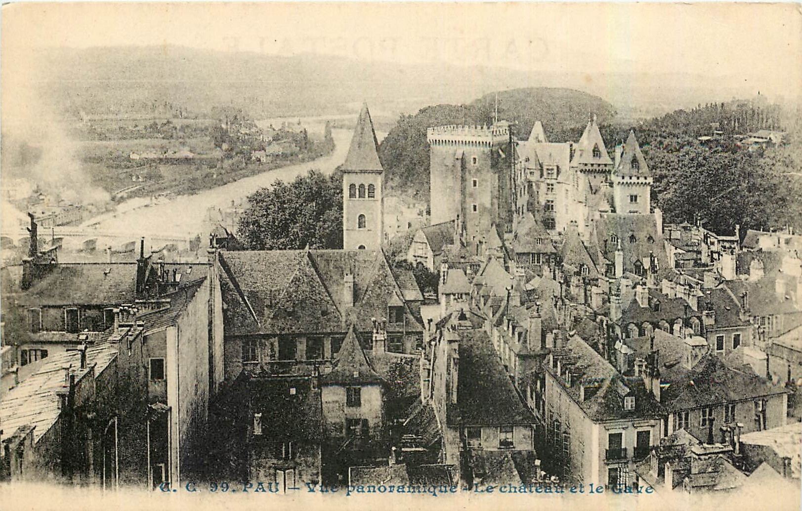CPA Pau Vue panoramique Le Chateau et le Gave 