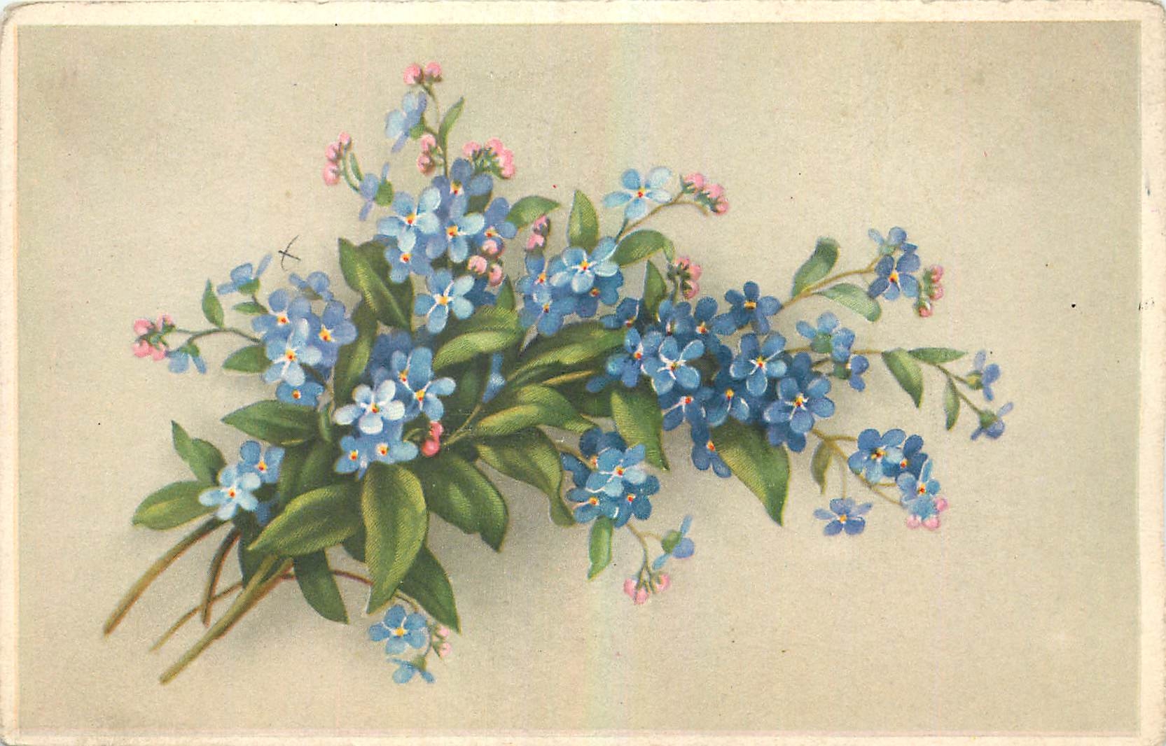 CPA Fleurs