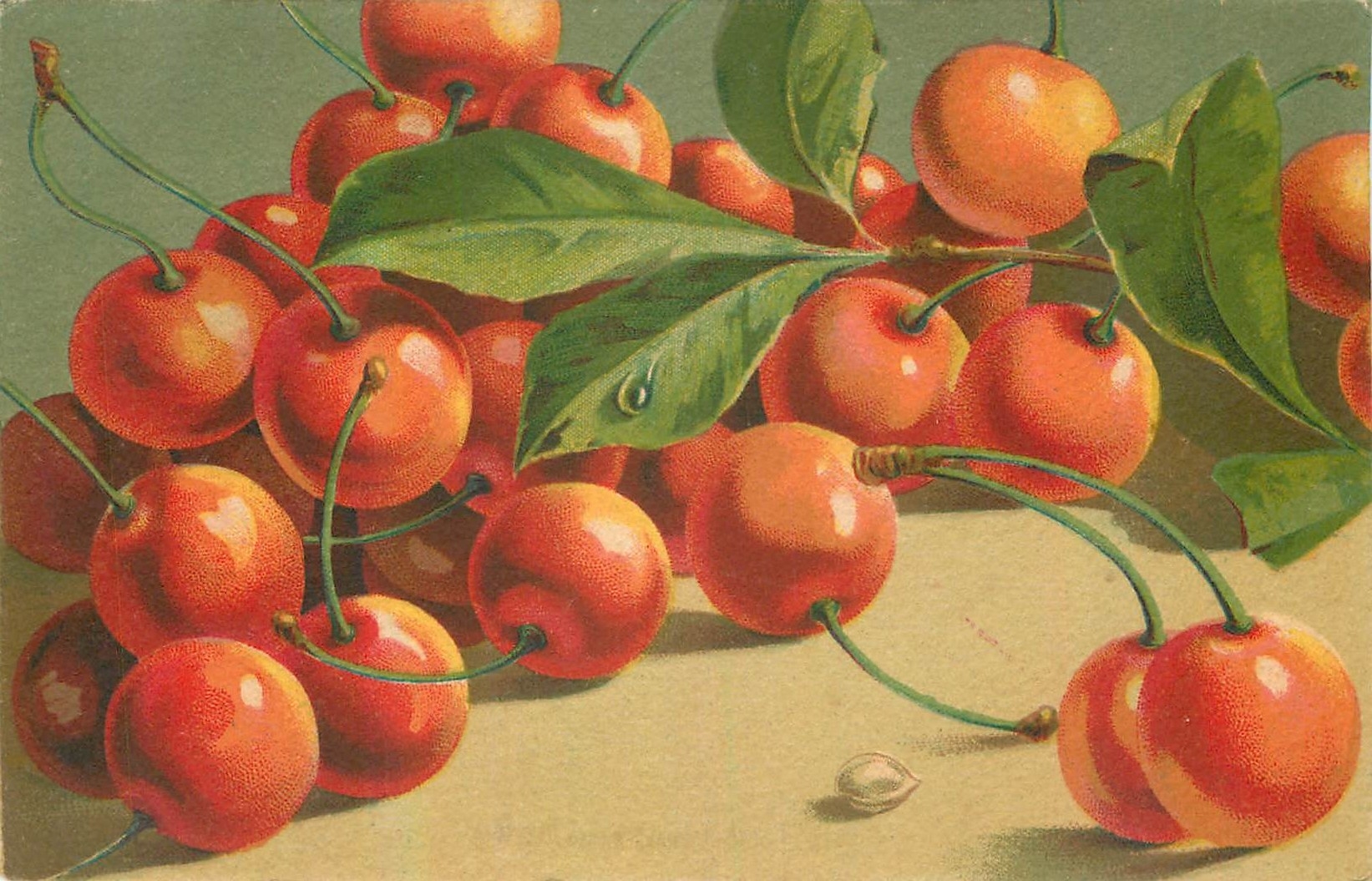 CPA Cerises
