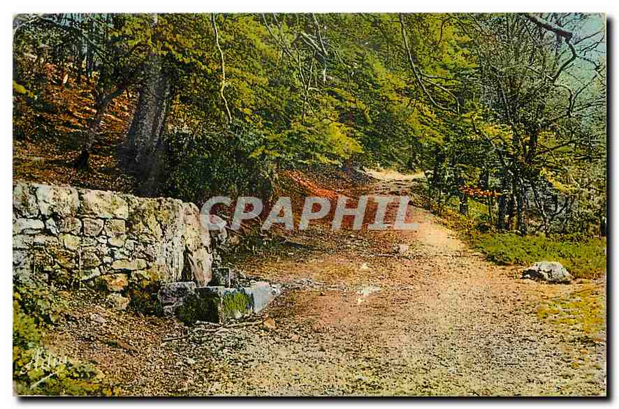 CPA La Sainte Baume Var La Fontaine de Nans 