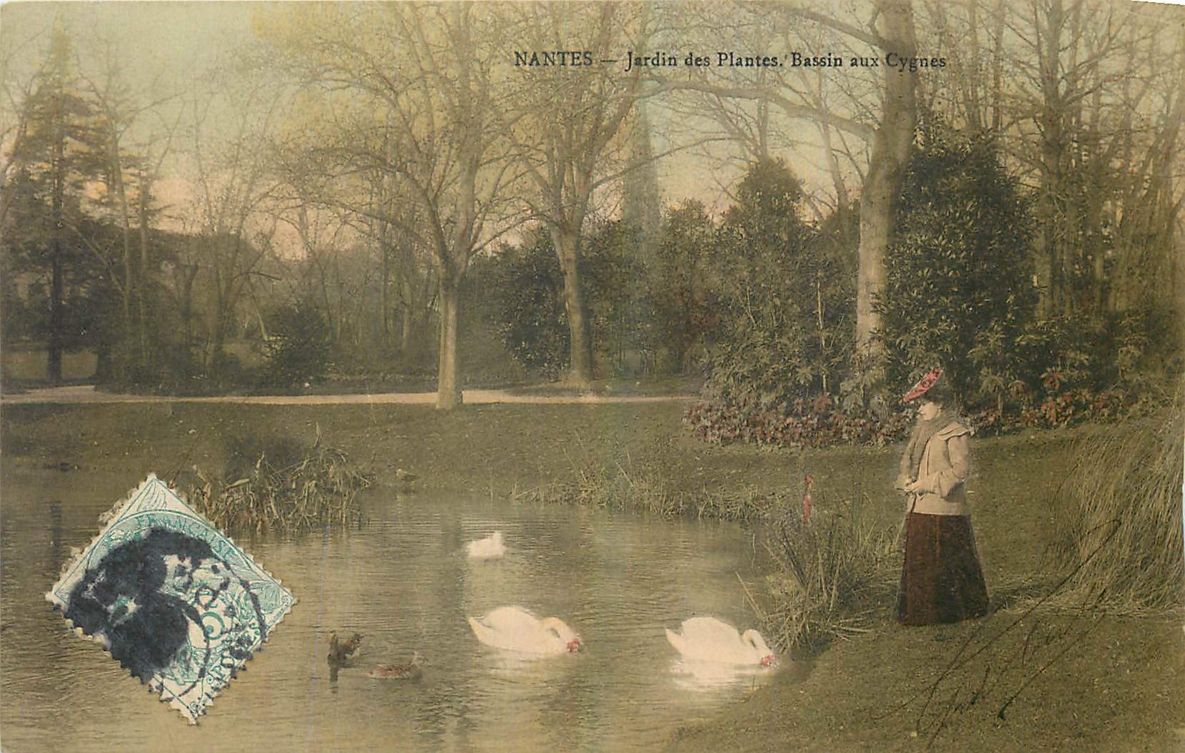 CPA Nantes Jardin des Plantes Bassin aux Cygnes 