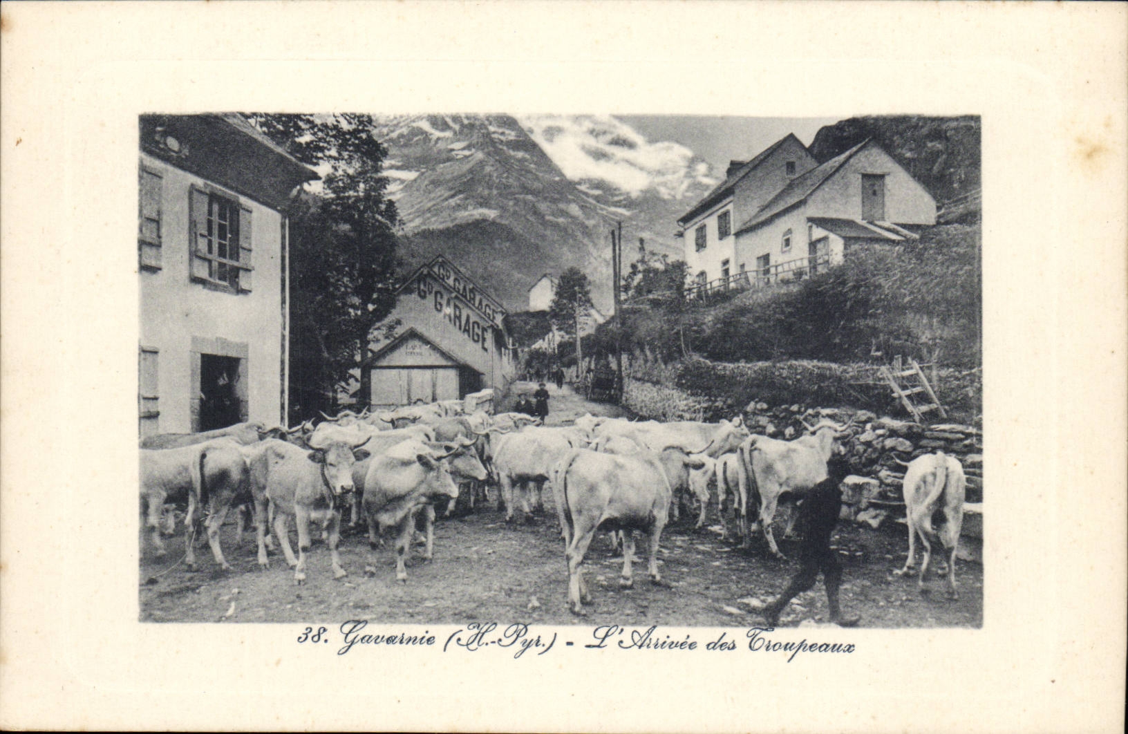 Gavarnie CPA L'arrivee des troupeaux