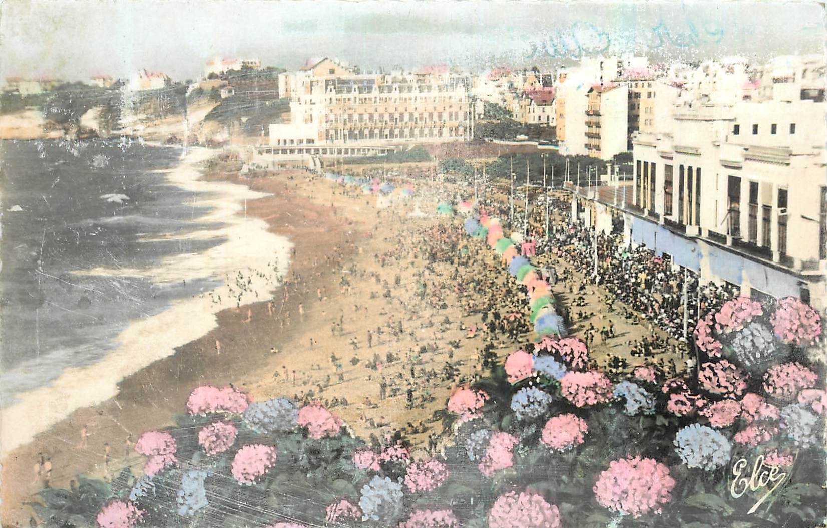 CPA Biarritz B P Les Hortensias La Grande Plage 