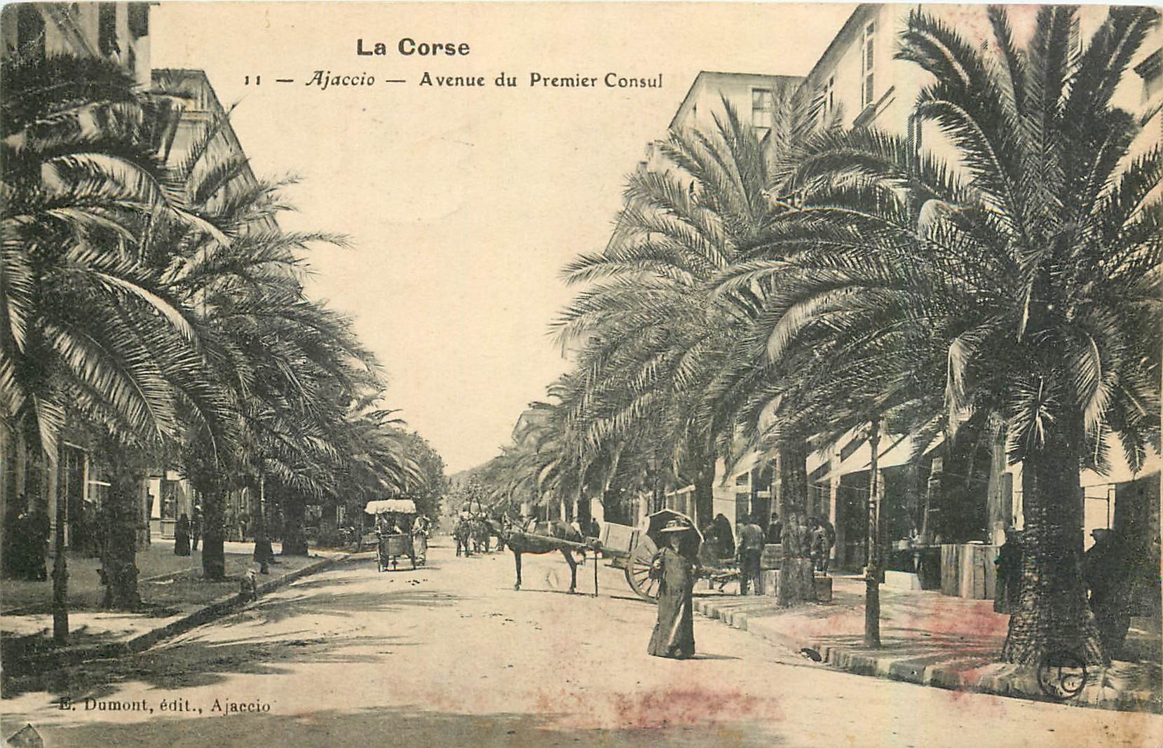 CPA La Corse Ajaccio Avenue du Premier Consul 