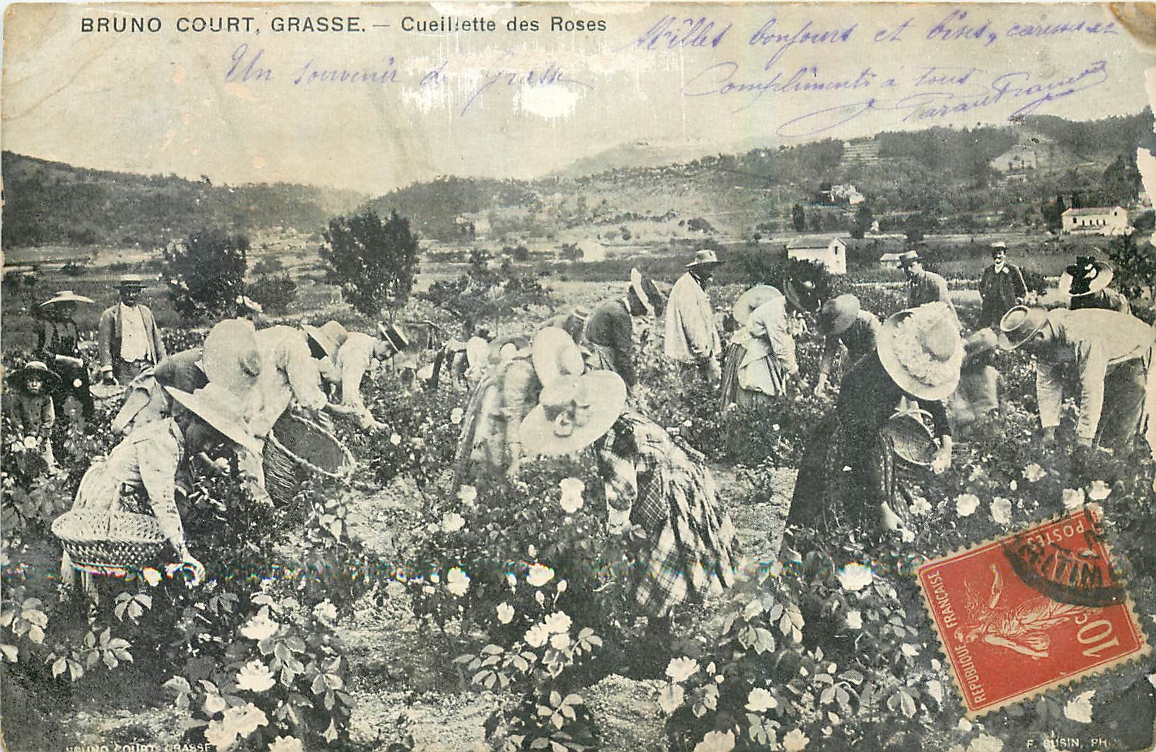 CPA Bruno court Grasse Cueillette des Roses 