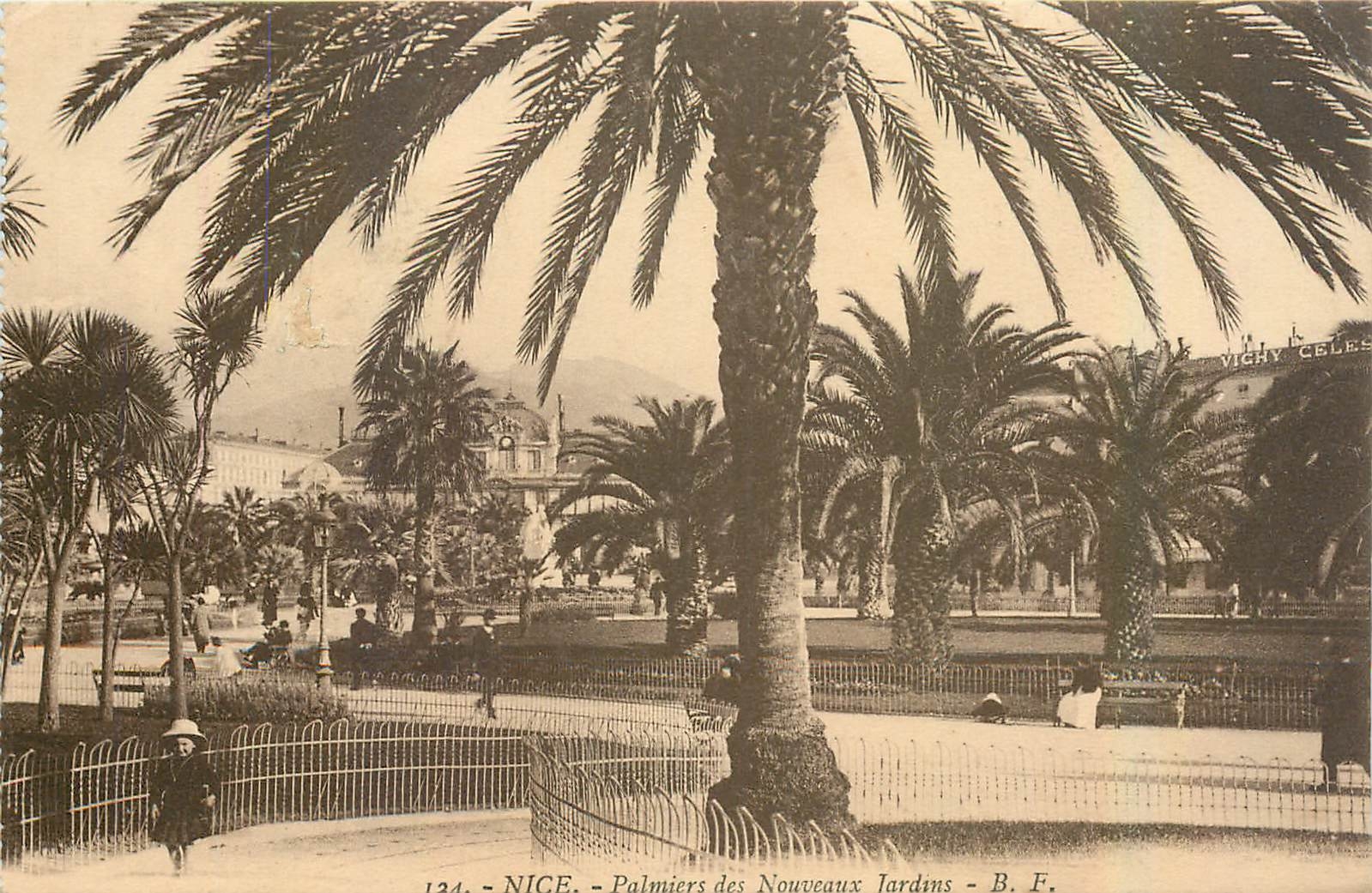 CPA Nice Palmiers des Nouveaux Jardins 