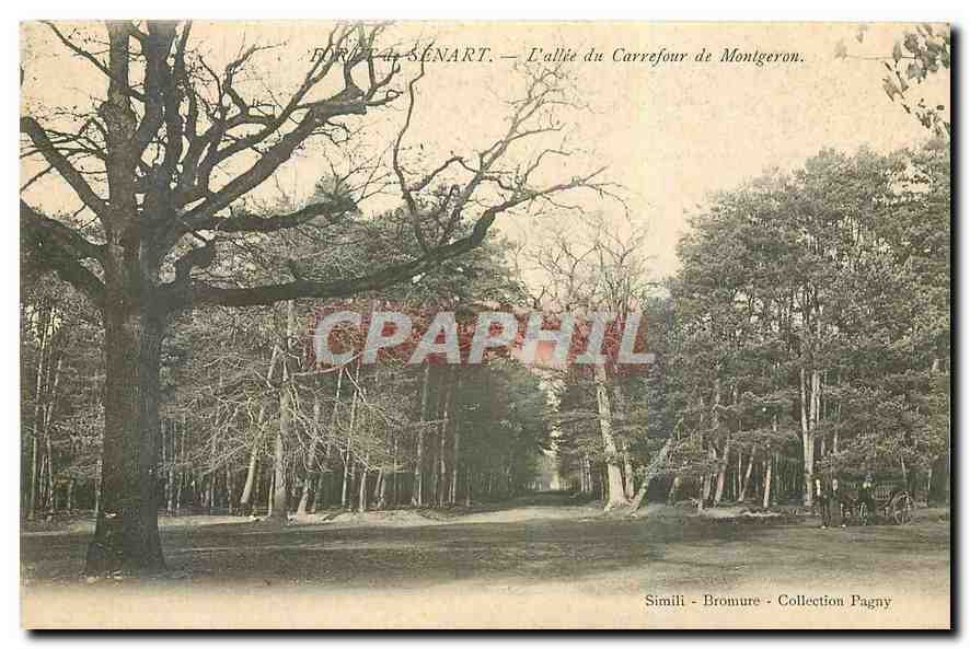 CPA Foret de Senart l'Allee du Carrefour de Montgeron 