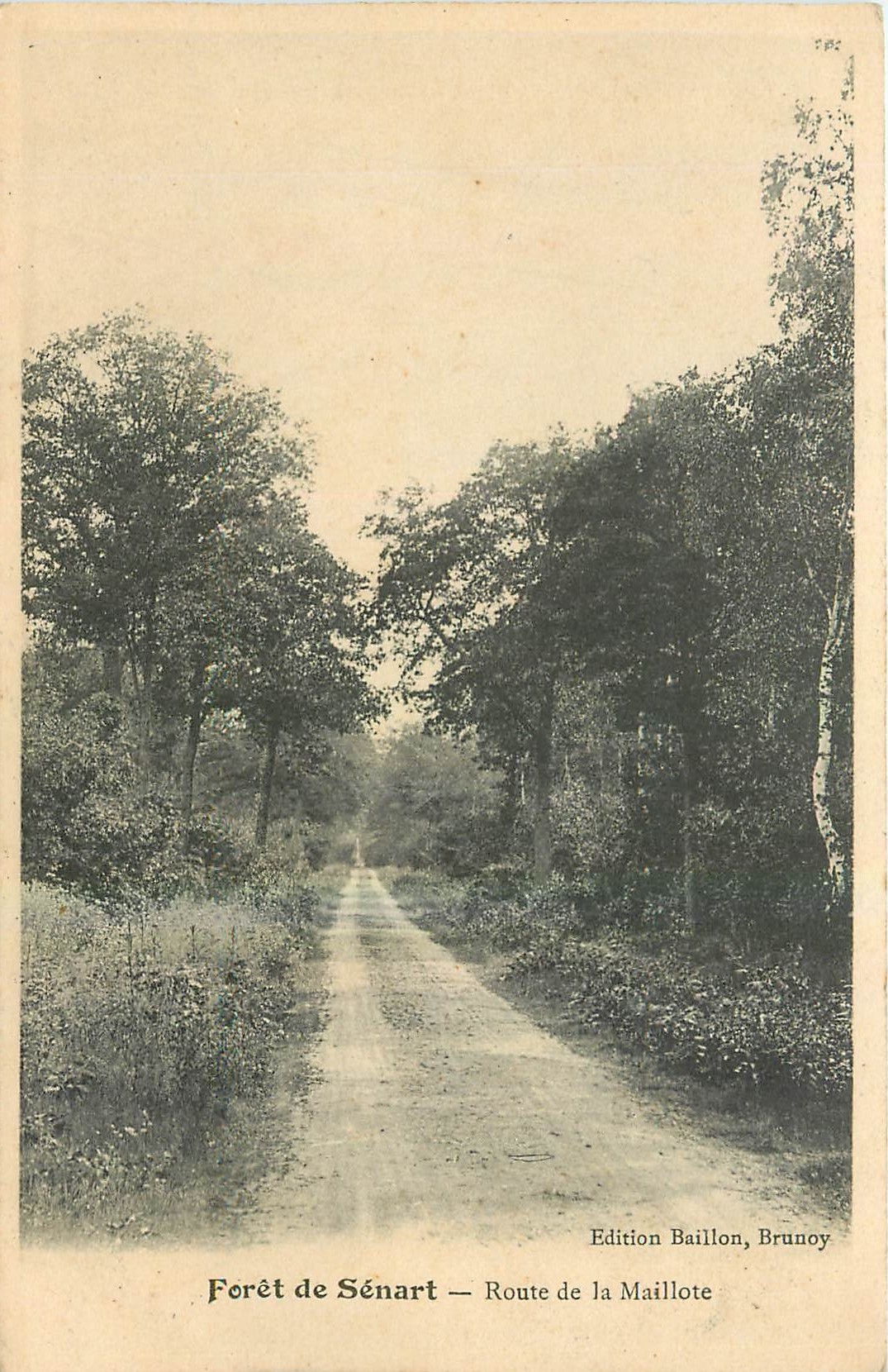 CPA Foret de Senart Route de la Maillote 