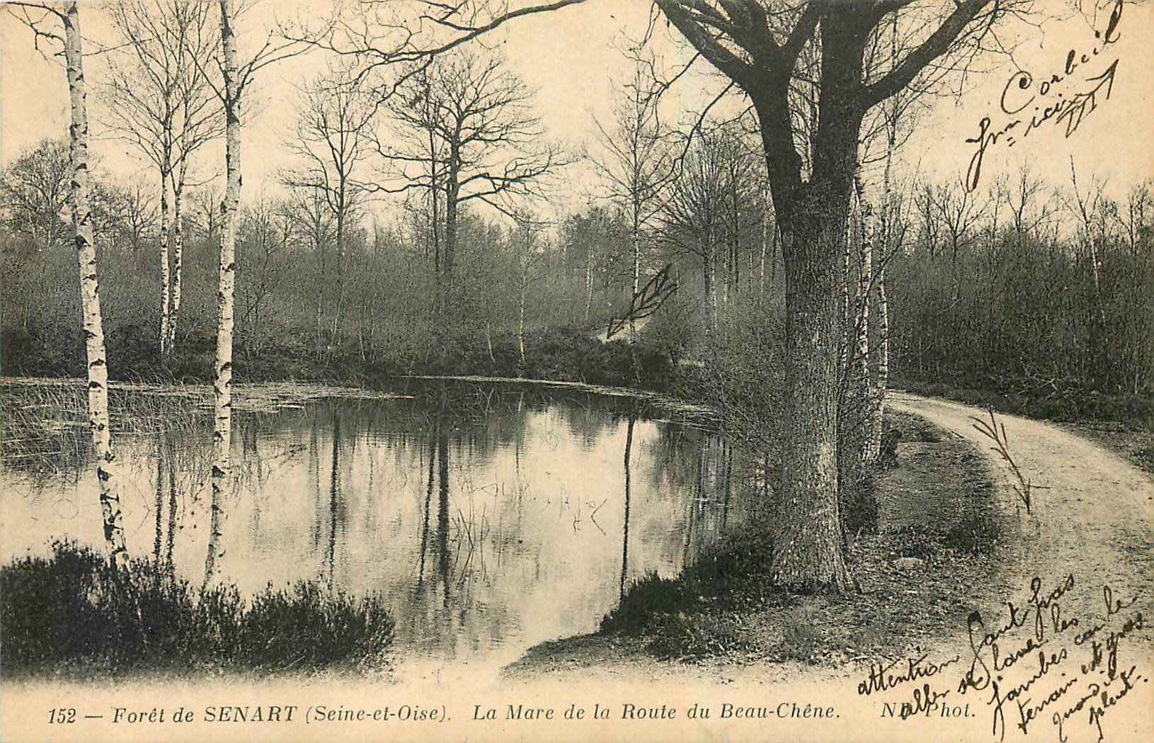 CPA Foret de Senart Seine et Oise La Mare de la Route du Beau Chene 