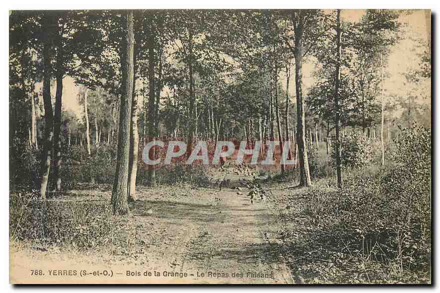 CPA Yerres S et O Bois de la Grande Le Repas des Faisans 