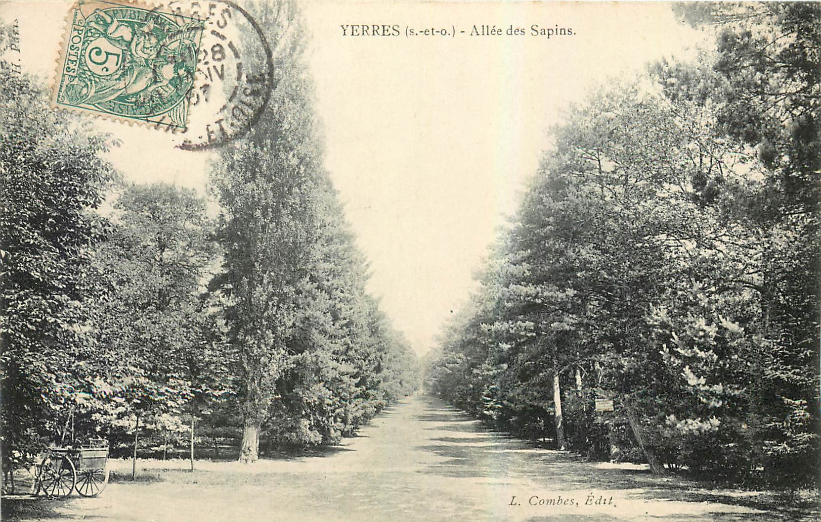 CPA Yerres S et O Allee des Sapins 