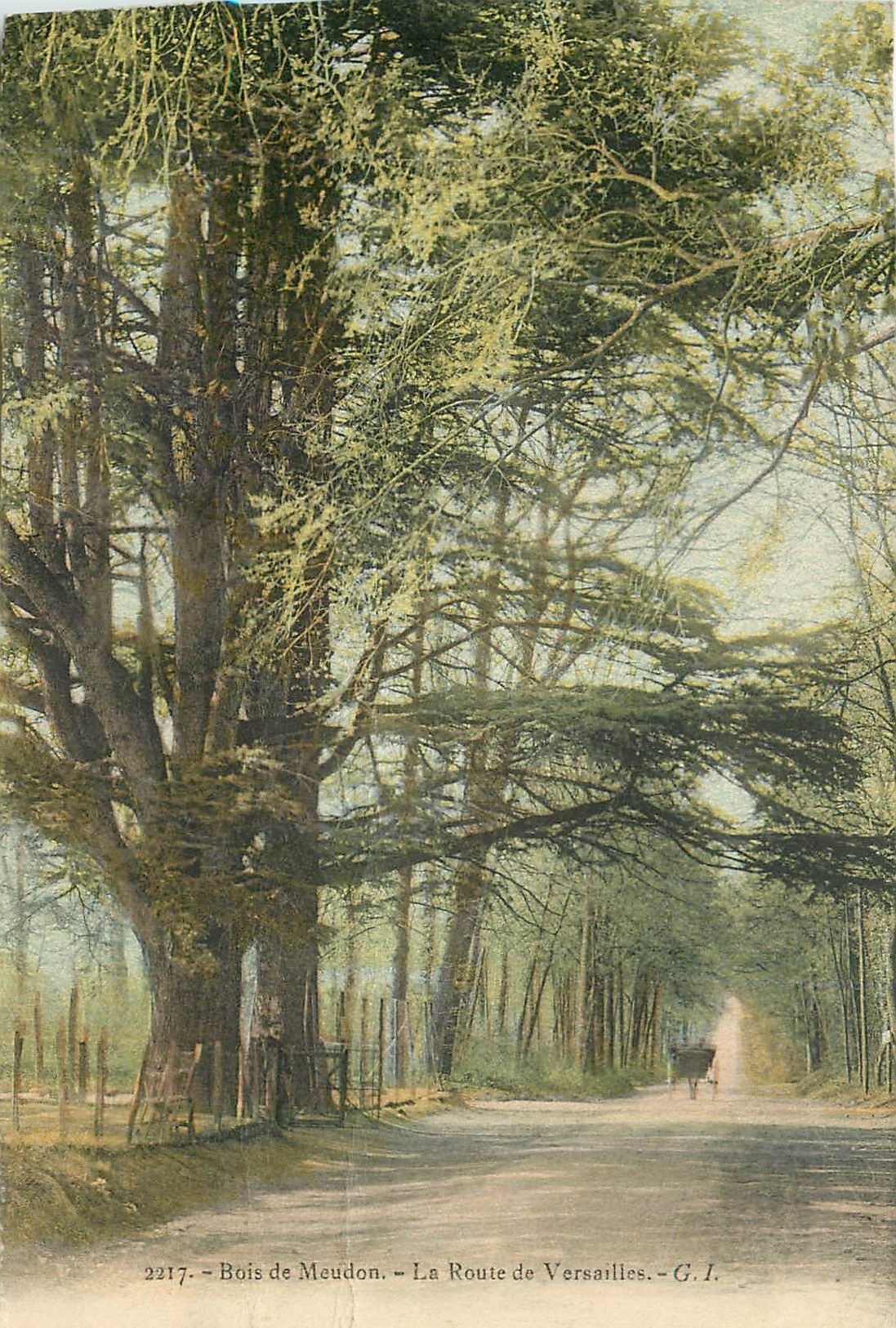 CPA Bois de Meudon Route de Versailles 