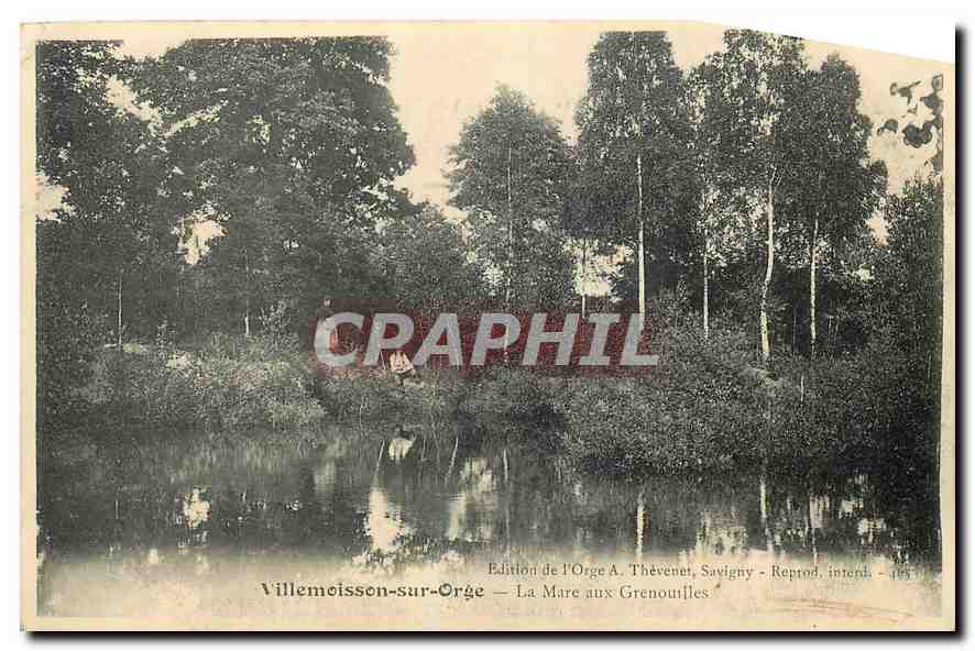 CPA Villemoisson sur Orge La Mare aux Grenouilles 