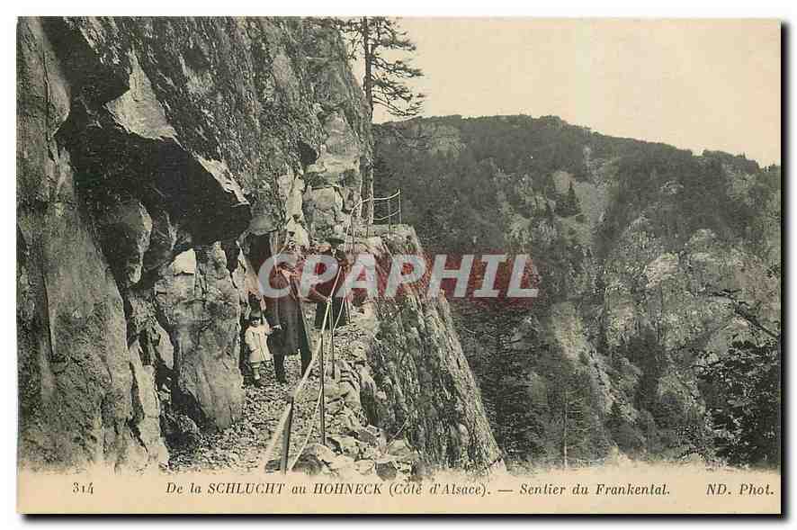 CPA De la Schlucht au Hohneck Cote d'Alsace Sentier du Frankental 