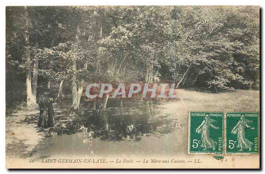 CPA Saint Germain en Laye La Foret La Mare aux Cannes 