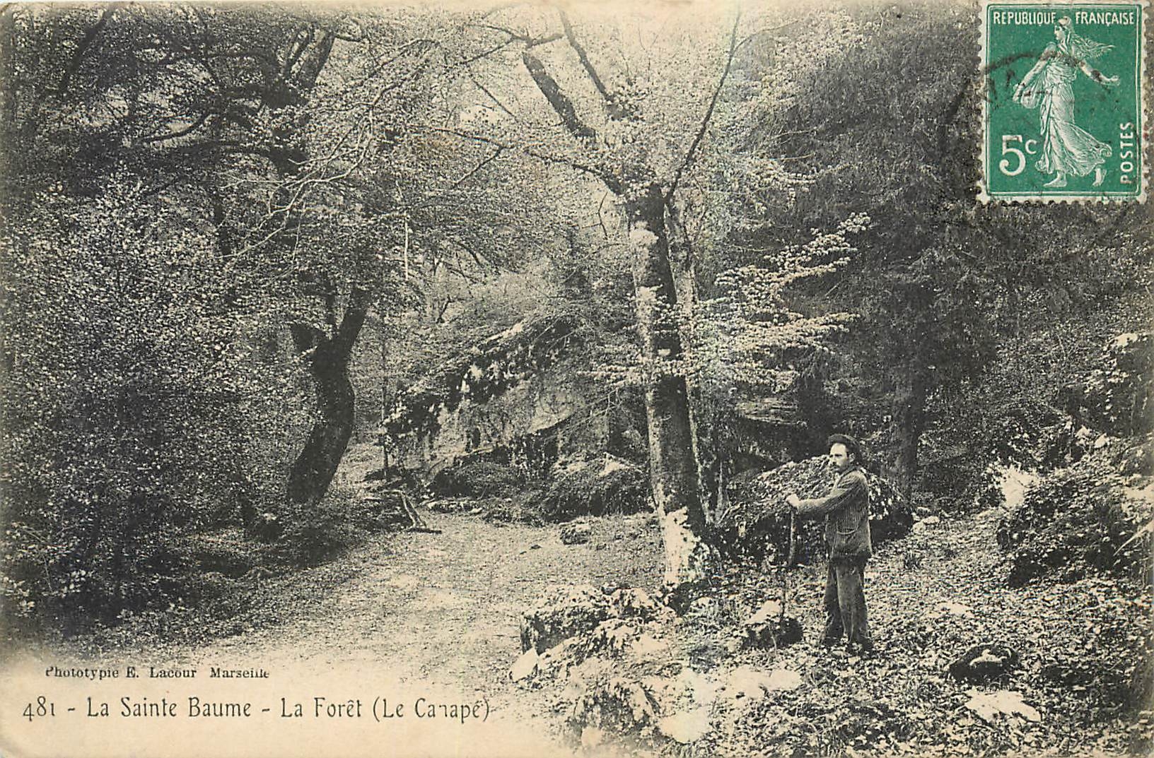CPA La Sainte Baume La Foret Le Canape 