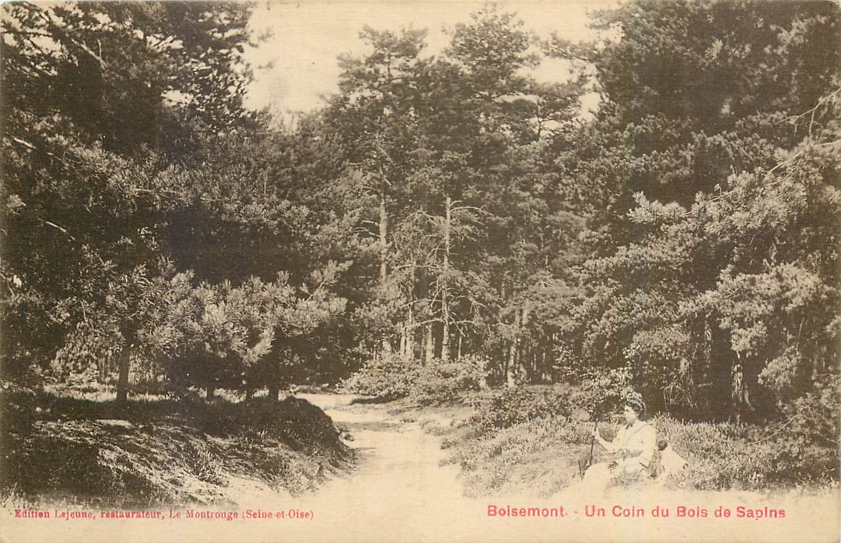 CPA Boisemont Un coin du Bois de Sapins 