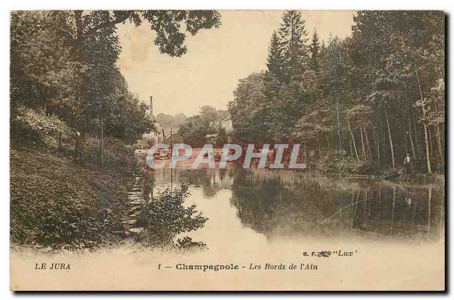 CPA Le Jura Champagnole Les Bords de l'Ain 