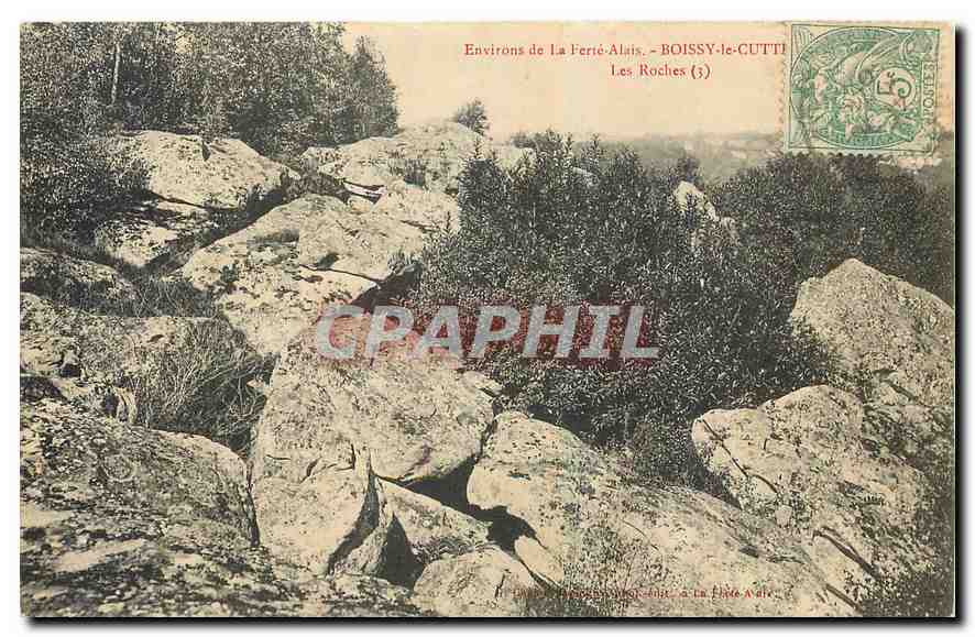CPA Environs de la Ferte Alais Boissy Les Roches 