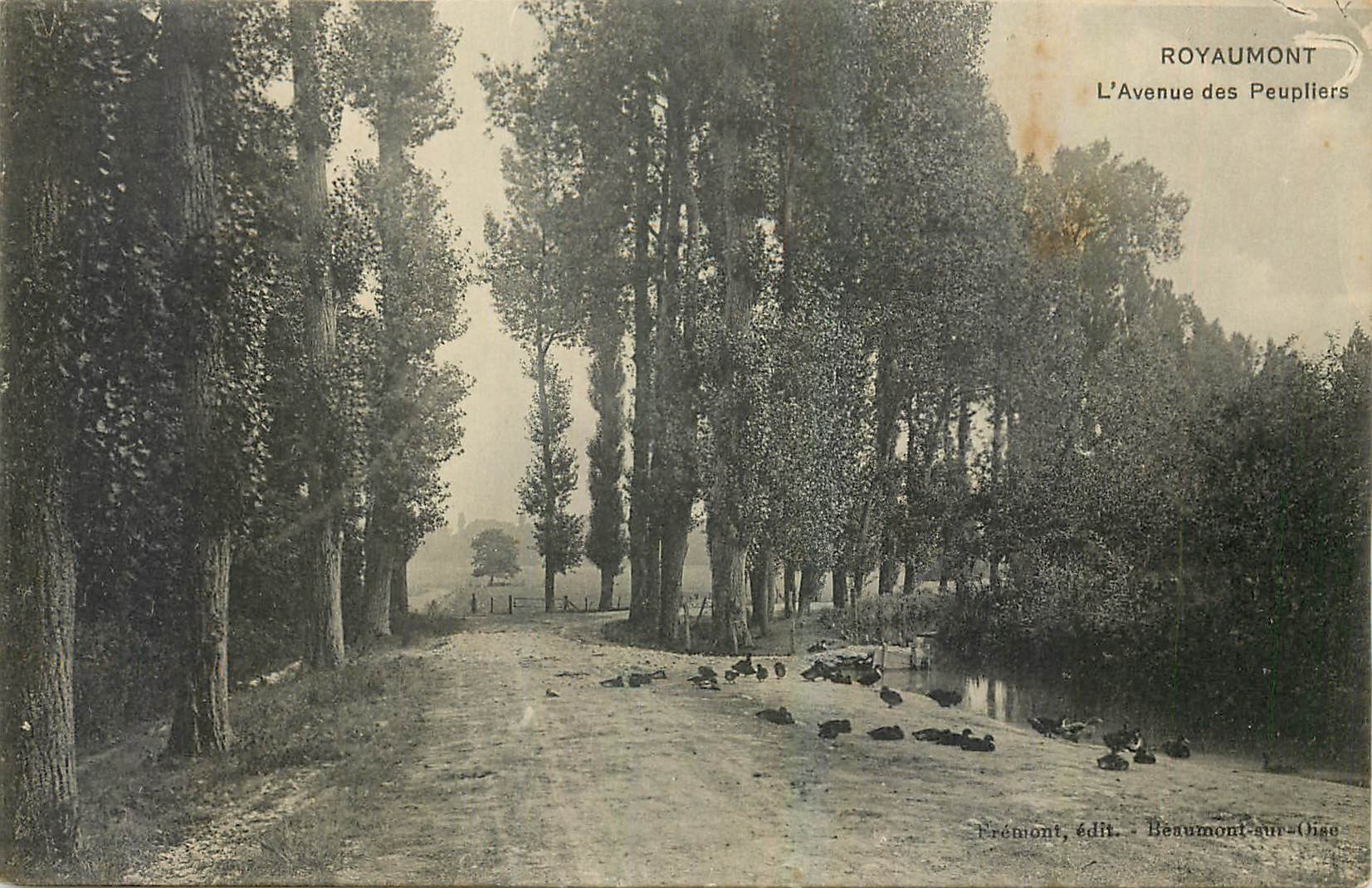 CPA Royaumont l'Avenue des Peupliers 
