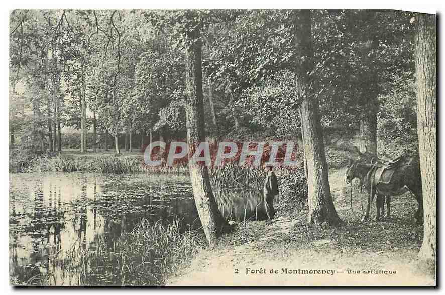 CPA Foret de Montmorency Vue artistique 