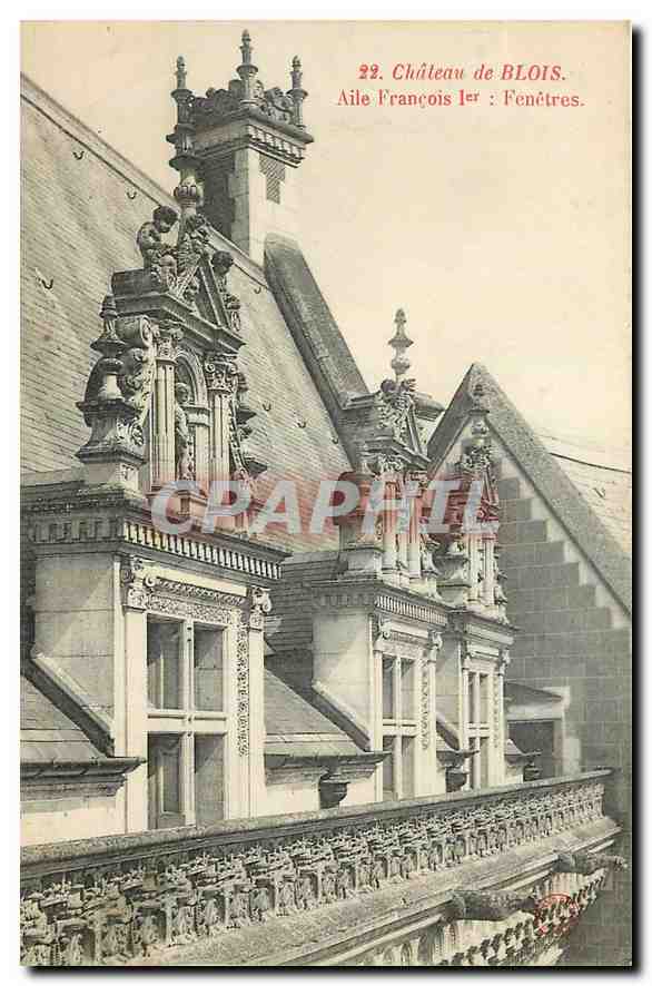 CPA Chateau de Blois Aile Francois I Fenetres 