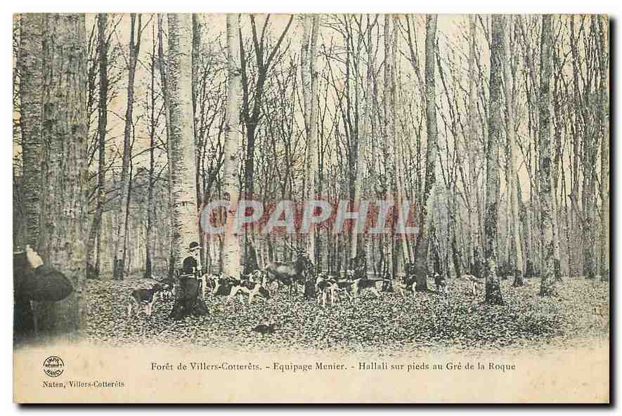 Forêt de Villers-Cotterêts — Equipage Menier — Hallali sur pieds au Gré de la Roque