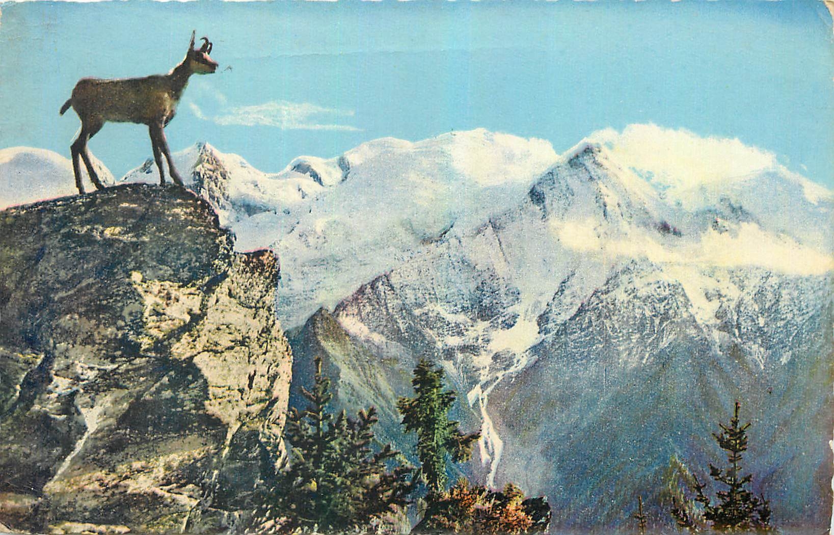CPA Chasseurs de Chamois au Puys Mont Blanc Dans le silence du murmure des sources ou du vol des cha