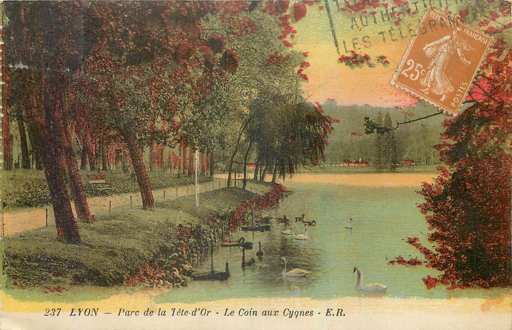 CPA Lyon Parc de la Tete d'Or Le Coin aux Cygnes 