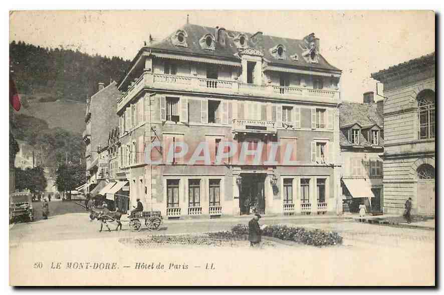 CPA Le Mont Dore Hotel de Paris Attelage Mule Ane