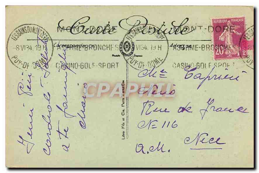 CPA Le Mont Dore Hotel de Paris Attelage Mule Ane — Verso
