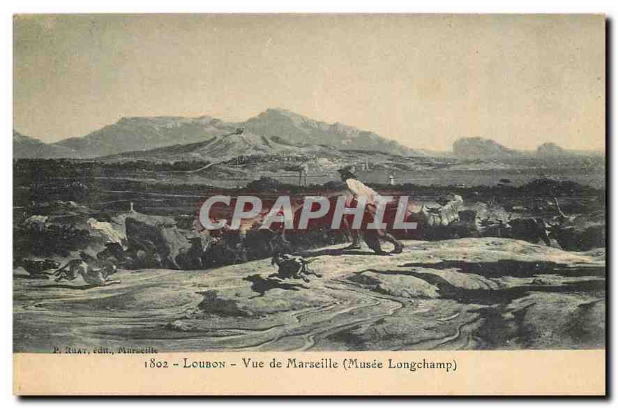 CPA Loubon Vue de Marseille Musee Longchamp 
