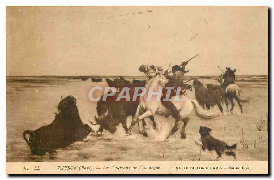 CPA Vayson Paul Les Taurreaux de Camargue Marseille Musee de Longchamp 