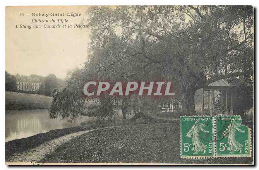 CPA Boissy Saint Leger Chateau du Piple l'Etang aux Cannards et la Pelouse 