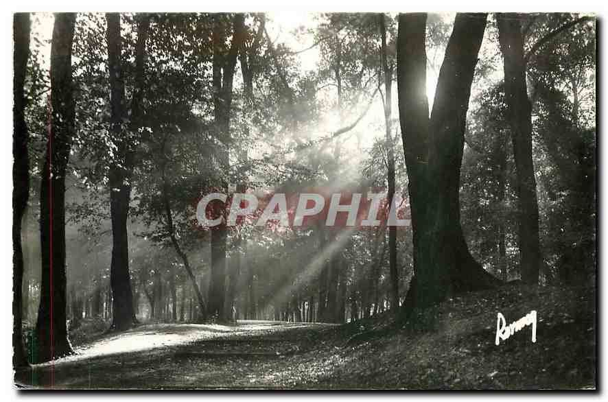 CPM Images de France En flanant au Bois de Vincennes Brume ensoleillee 