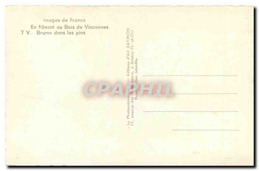 CPM Images de France En flanant au Bois de Vincennes Brume dans les Pins  — Rückseite