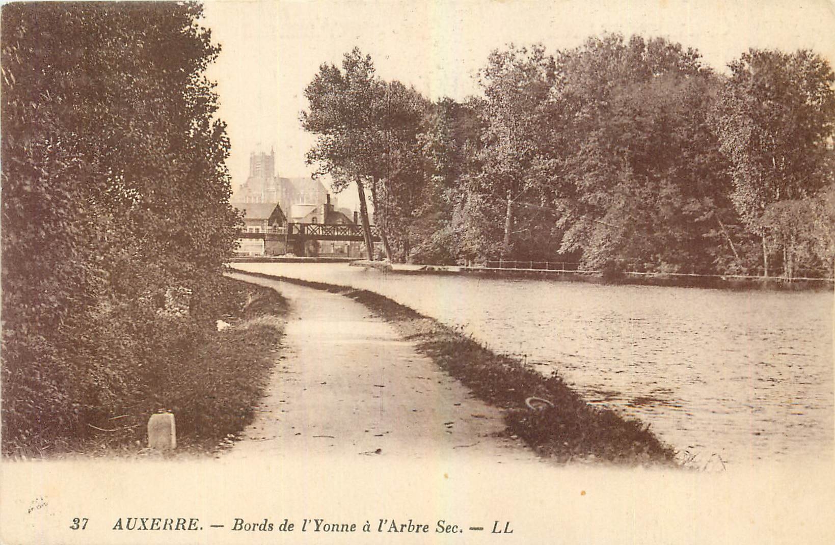 CPA Auxerre Bords de l'Yonne a l'Arbre Sec 